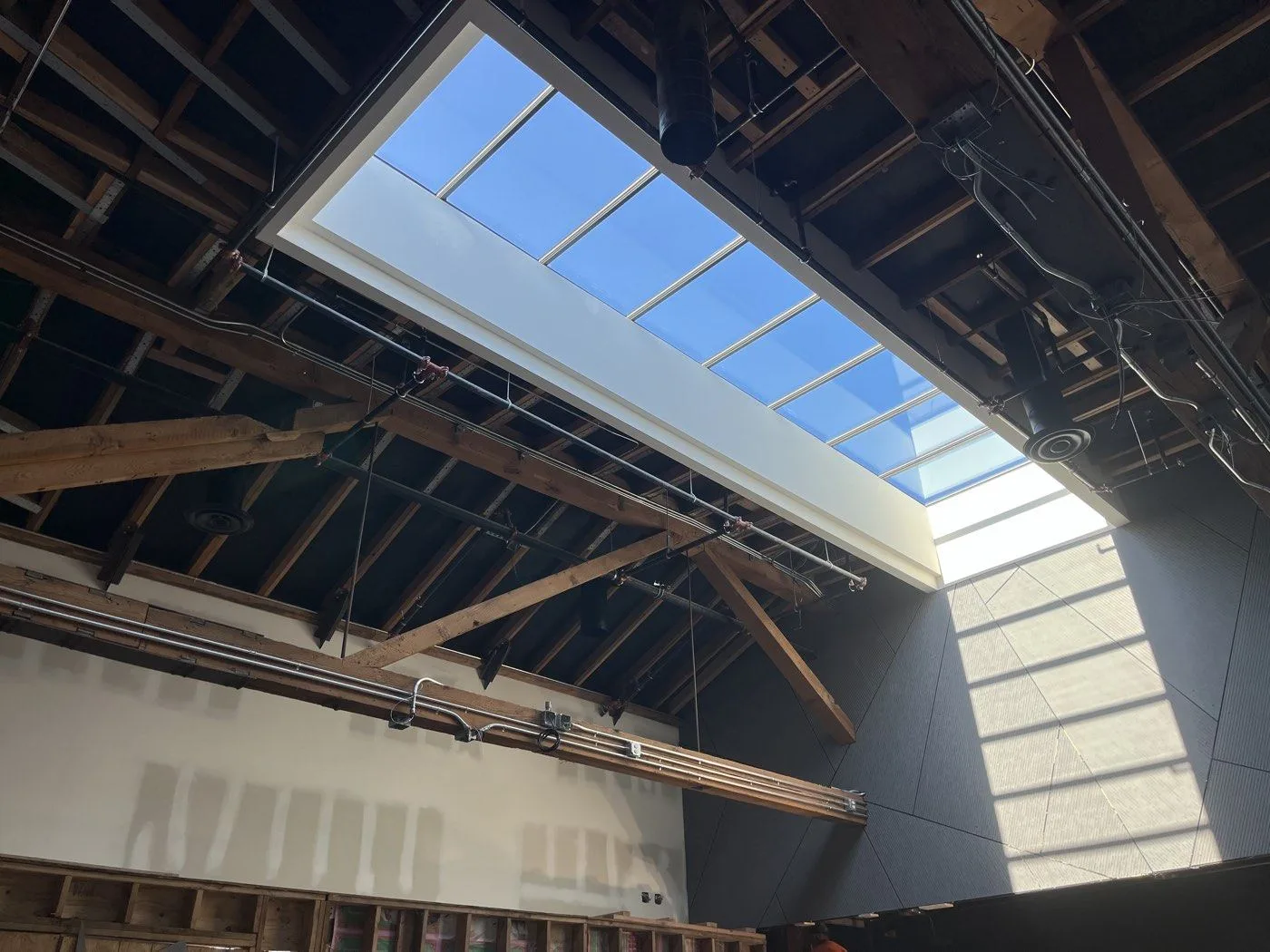 Flat custom glass skylight with structural bars, Los Angeles